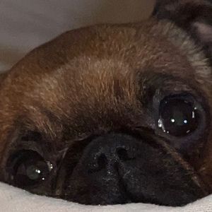 Meet your Posher, Joan